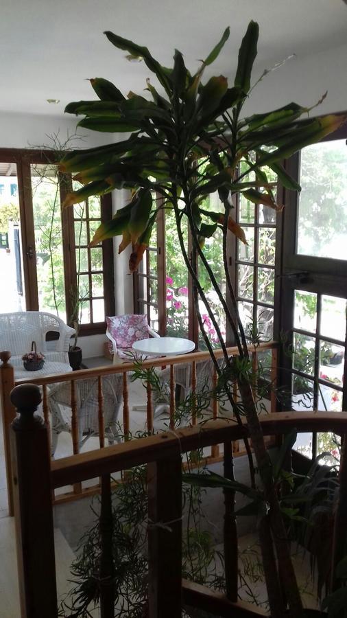 Villa Nena Hersonissos  Esterno foto